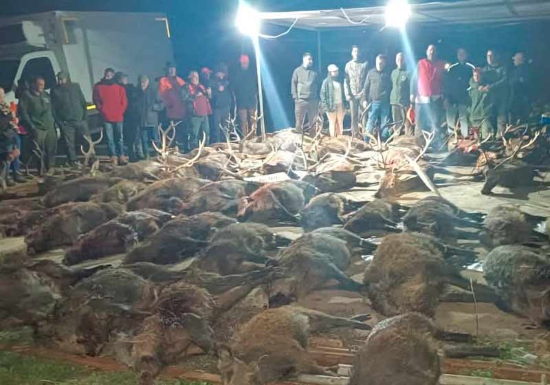 Resultado Montería Tamaral Bajo 2025 Carlos Villar